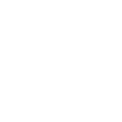 white-paper-icon-4